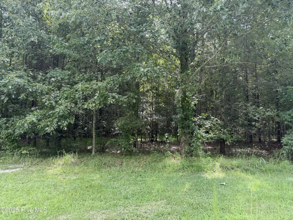 214 Osprey Drive Edenton, NC 27932