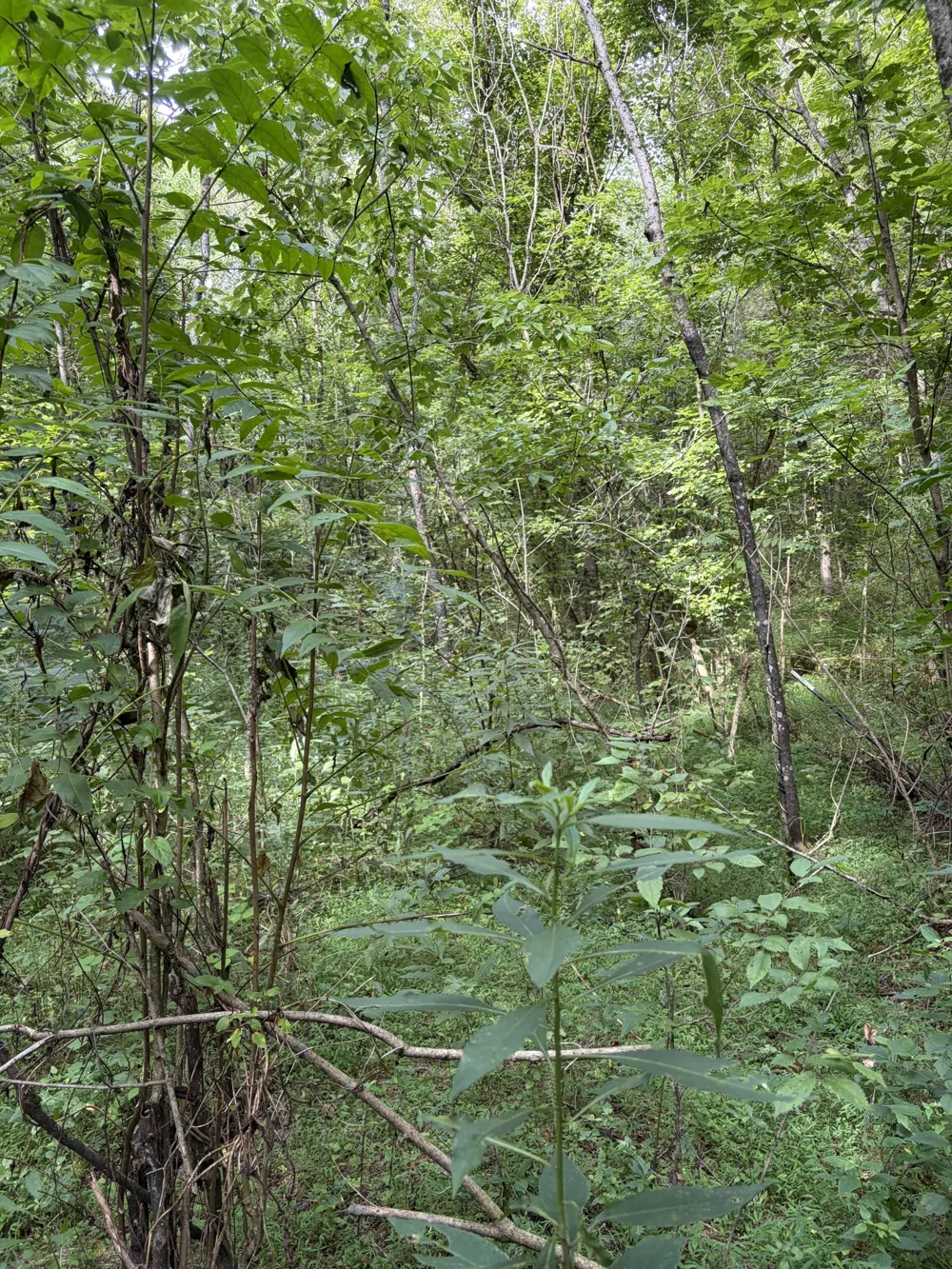 845 Flynns Creek Rd Gainesboro, TN 38562