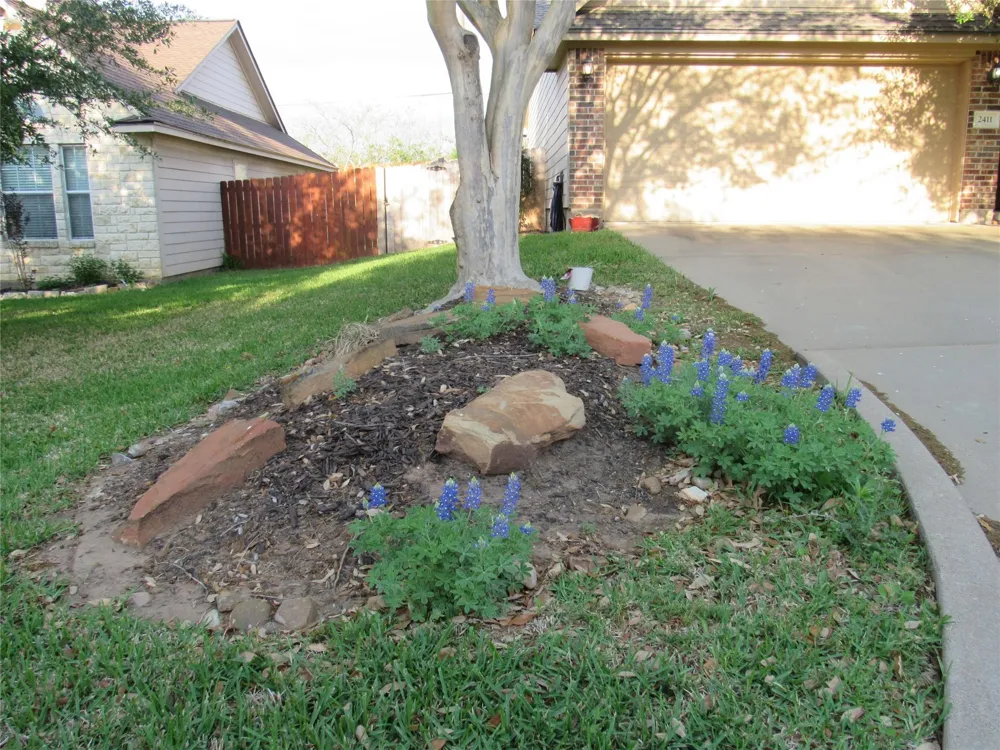 2411 Cheyenne Drive Brenham, TX 77833