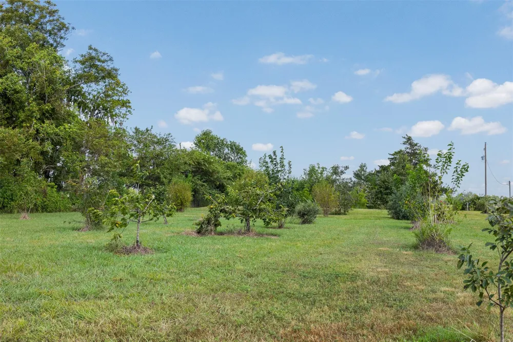 7910 Cr-628 Brazoria, TX 77422