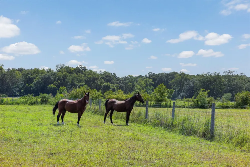 7910 Cr-628 Brazoria, TX 77422