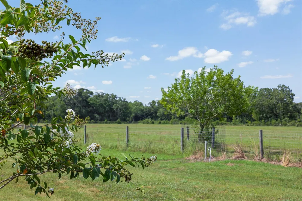 7910 Cr-628 Brazoria, TX 77422