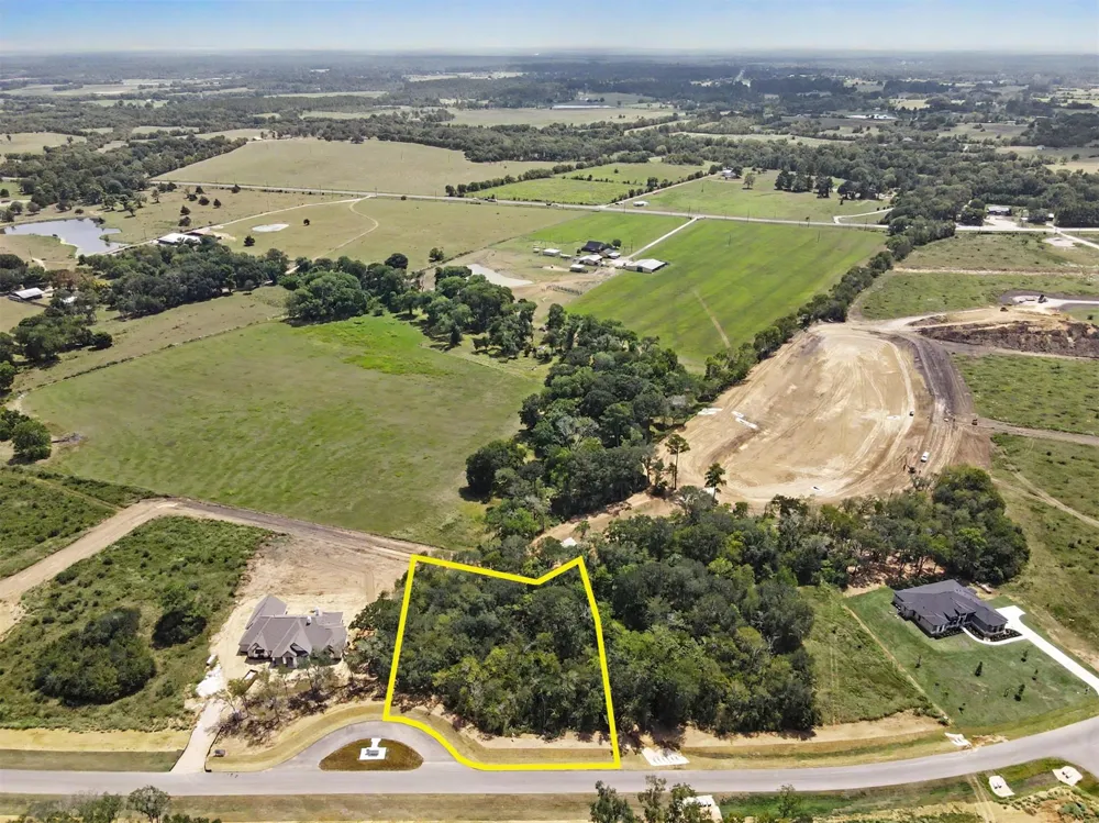 9734 Lakeside Oaks Drive Drive Plantersville, TX 77363