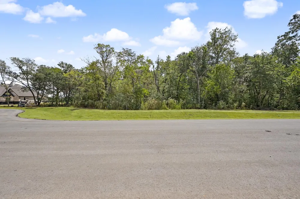 9734 Lakeside Oaks Drive Drive Plantersville, TX 77363
