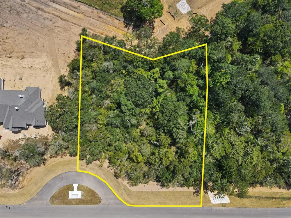 9734 Lakeside Oaks Drive Drive Plantersville, TX 77363