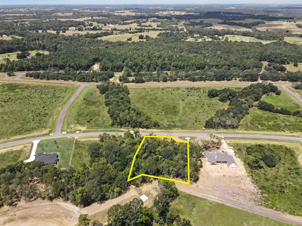 9734 Lakeside Oaks Drive Drive Plantersville, TX 77363