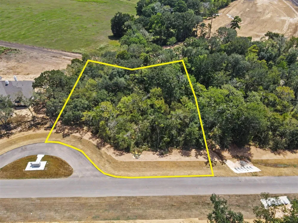 9734 Lakeside Oaks Drive Drive Plantersville, TX 77363
