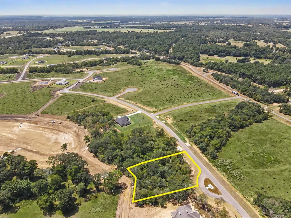 9734 Lakeside Oaks Drive Drive Plantersville, TX 77363