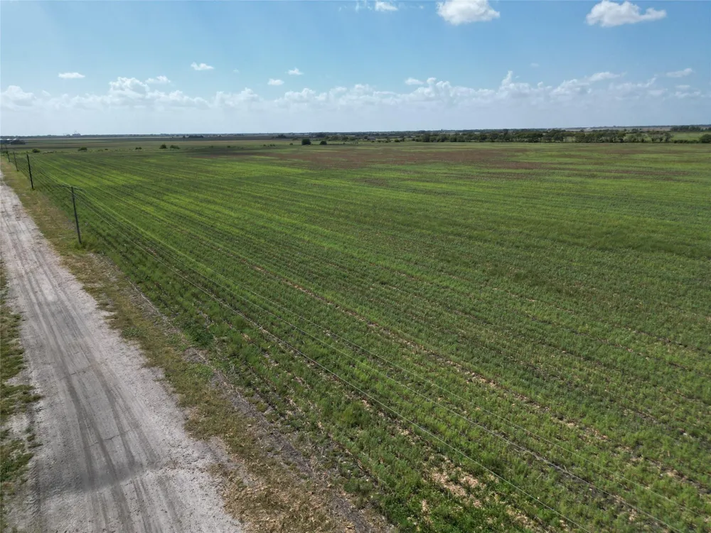 County Road 232 Ganado, TX 77962