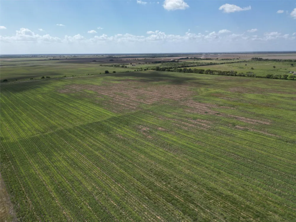 County Road 232 Ganado, TX 77962