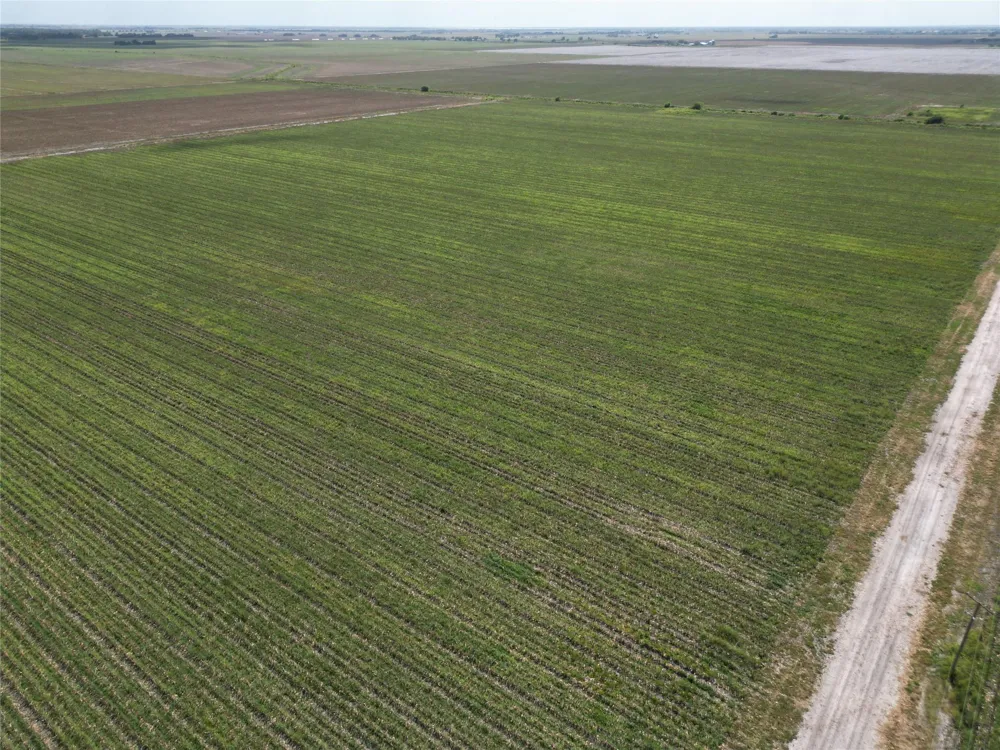 County Road 232 Ganado, TX 77962