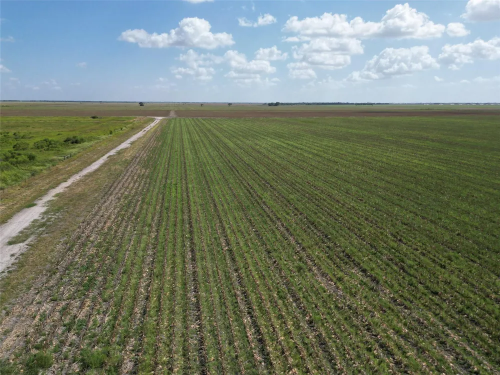 County Road 232 Ganado, TX 77962