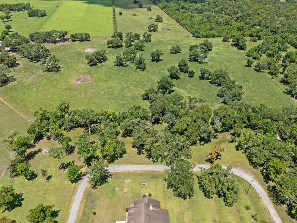 County Road 161 Shilo, Lots 4-13 Loop Cedar Lane, TX 77415