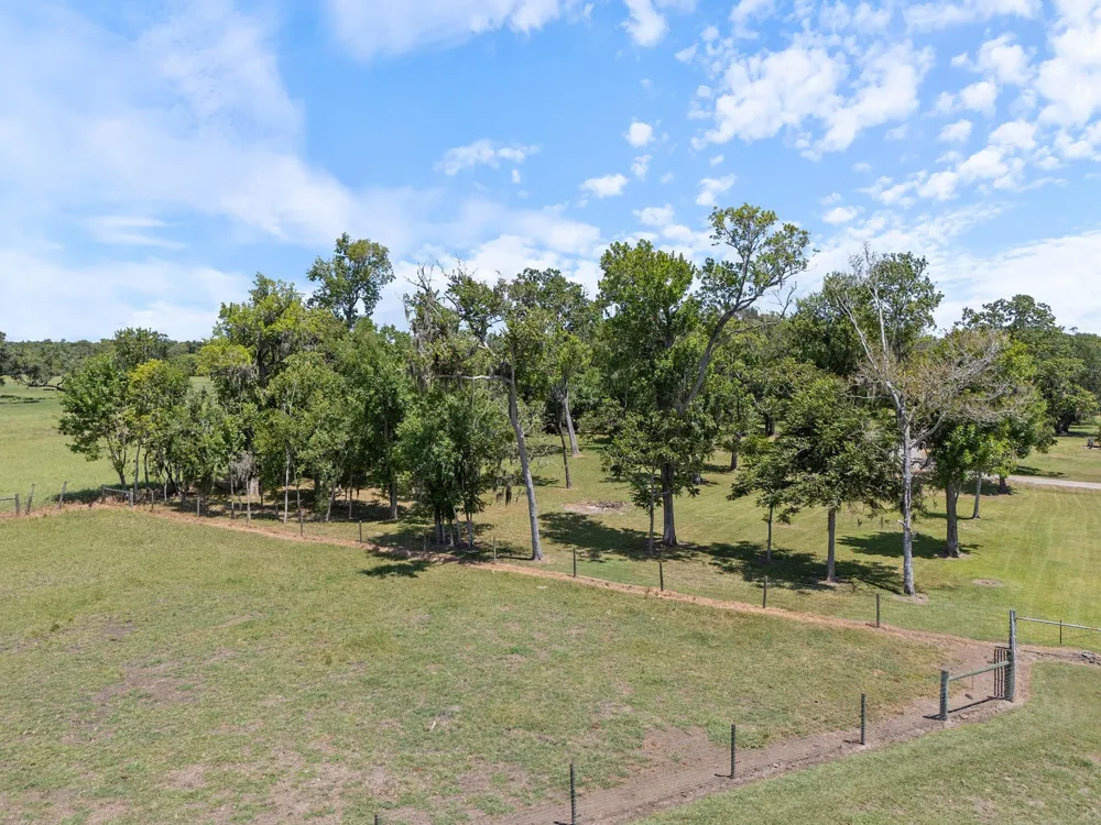 County Road 161 Shilo, Lots 4-13 Loop Cedar Lane, TX 77415