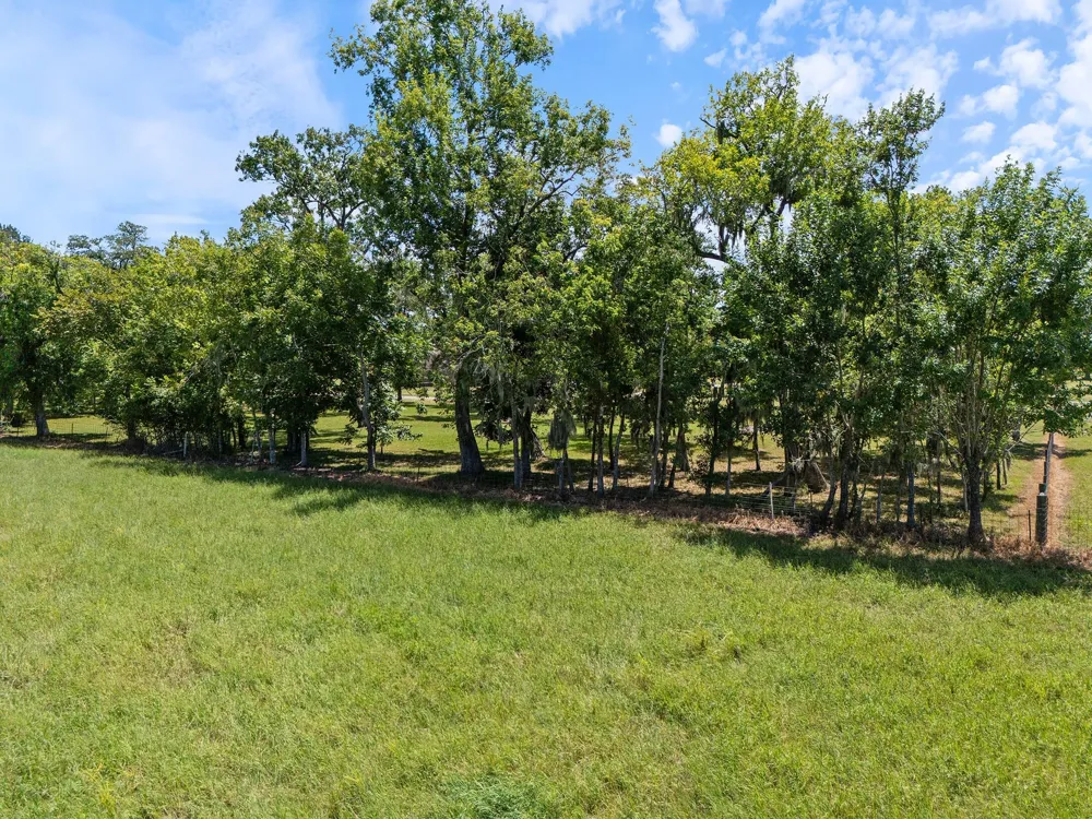 County Road 161 Shilo, Lots 4-13 Loop Cedar Lane, TX 77415