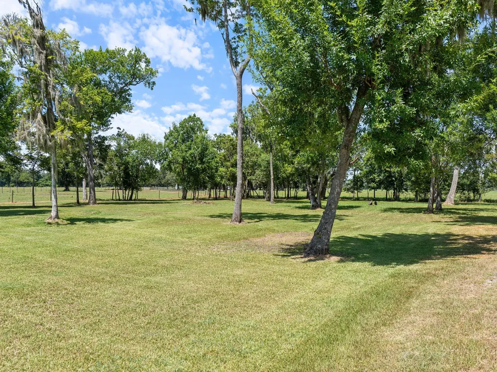 County Road 161 Shilo, Lots 4-13 Loop Cedar Lane, TX 77415