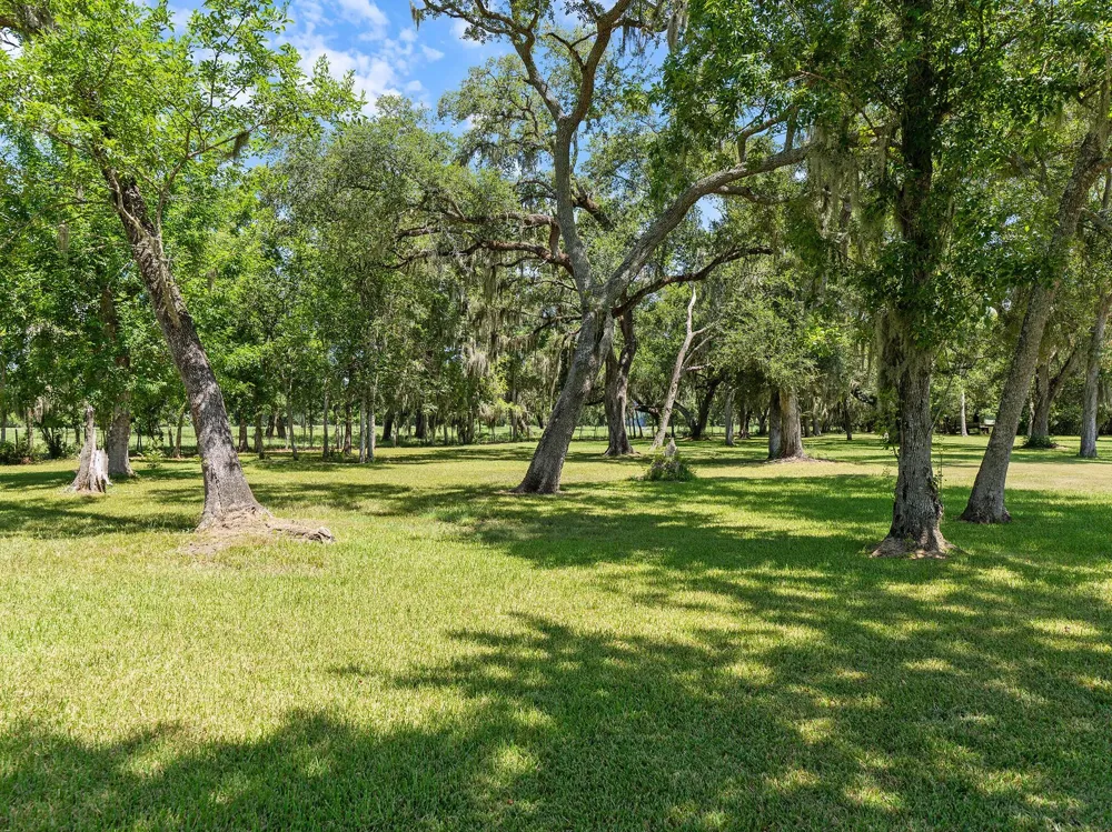County Road 161 Shilo, Lots 4-13 Loop Cedar Lane, TX 77415