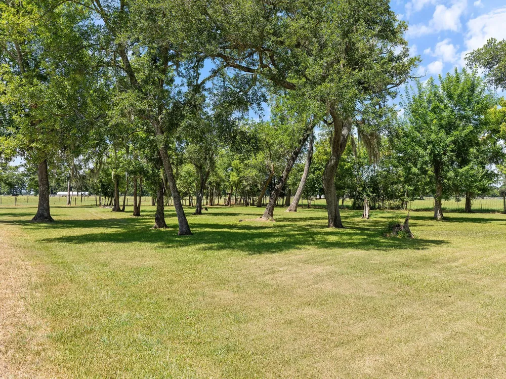 County Road 161 Shilo, Lots 4-13 Loop Cedar Lane, TX 77415