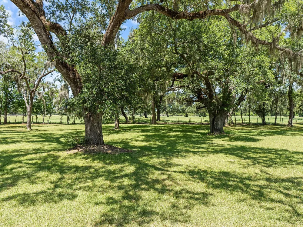 County Road 161 Shilo, Lots 4-13 Loop Cedar Lane, TX 77415