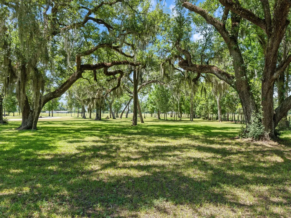 County Road 161 Shilo, Lots 4-13 Loop Cedar Lane, TX 77415