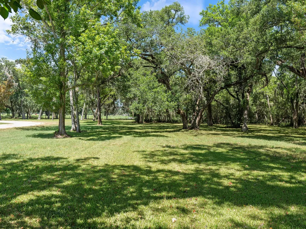 County Road 161 Shilo, Lots 4-13 Loop Cedar Lane, TX 77415