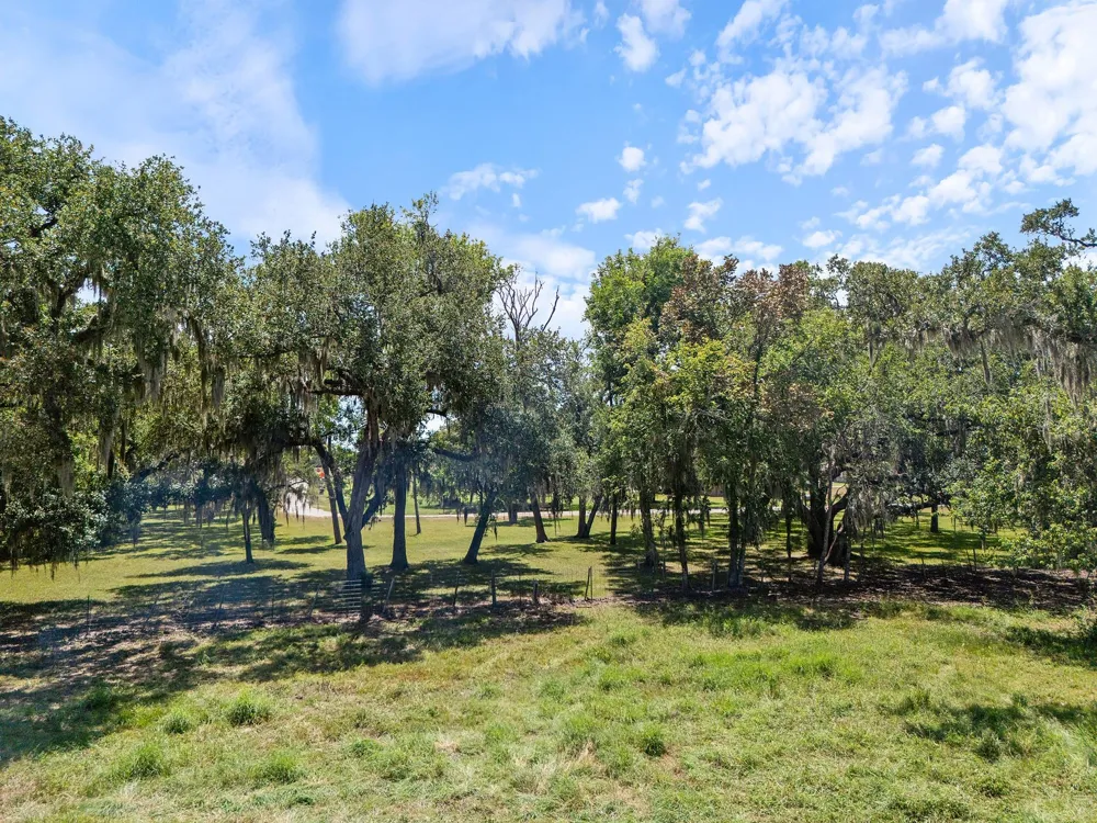 County Road 161 Shilo, Lots 4-13 Loop Cedar Lane, TX 77415