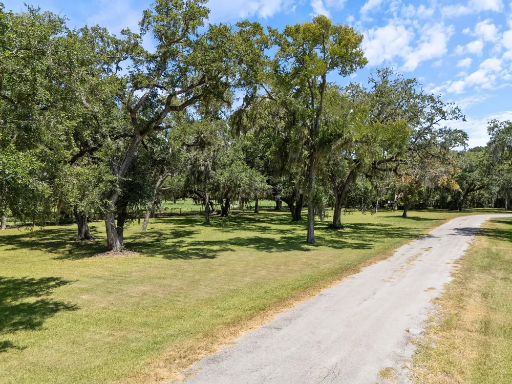 County Road 161 Shilo, Lots 4-13 Loop Cedar Lane, TX 77415