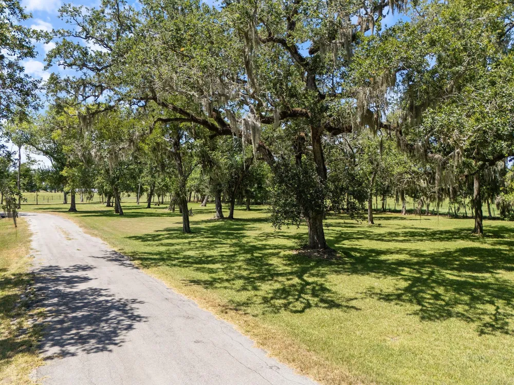 County Road 161 Shilo, Lots 4-13 Loop Cedar Lane, TX 77415