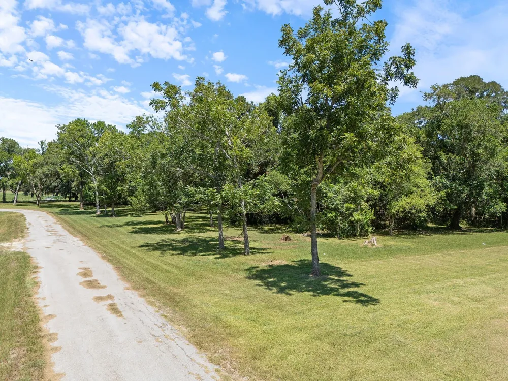 County Road 161 Shilo, Lots 4-13 Loop Cedar Lane, TX 77415