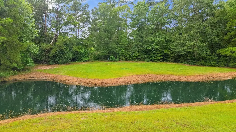 203 Mapleleaf Street Magnolia, TX 77354