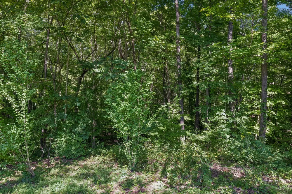 6010 Woodview Ct Greenbrier, TN 37073
