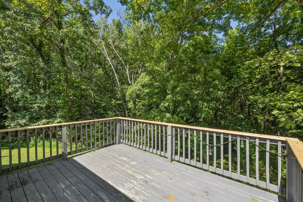 6010 Woodview Ct Greenbrier, TN 37073