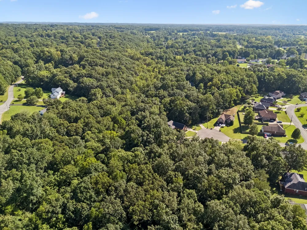 6010 Woodview Ct Greenbrier, TN 37073