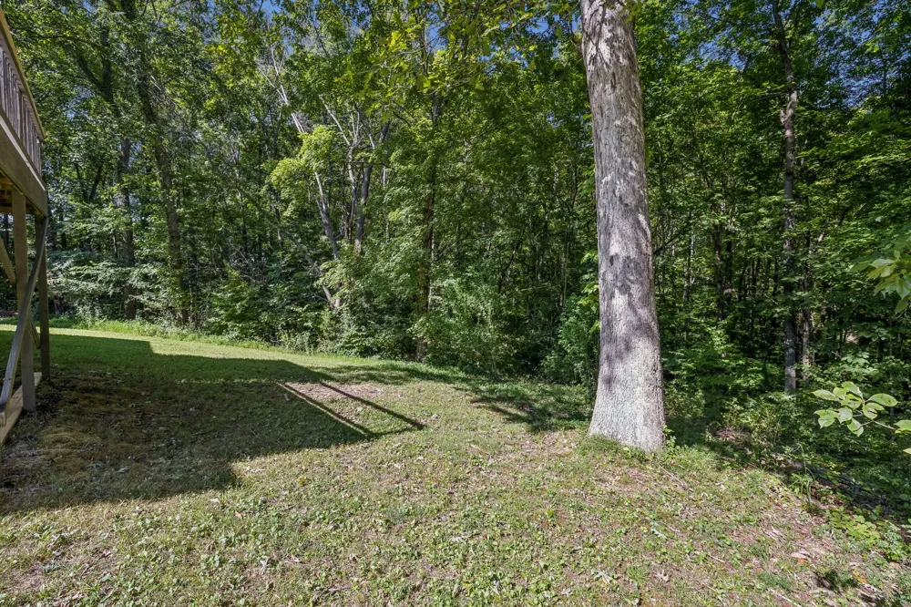 6010 Woodview Ct Greenbrier, TN 37073