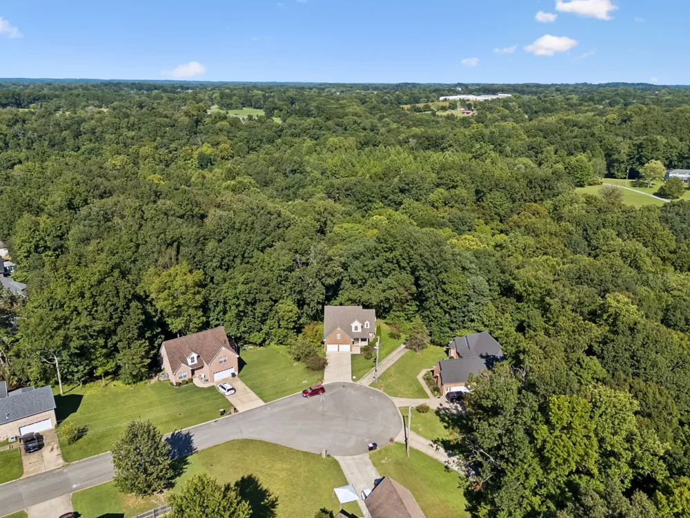 6010 Woodview Ct Greenbrier, TN 37073