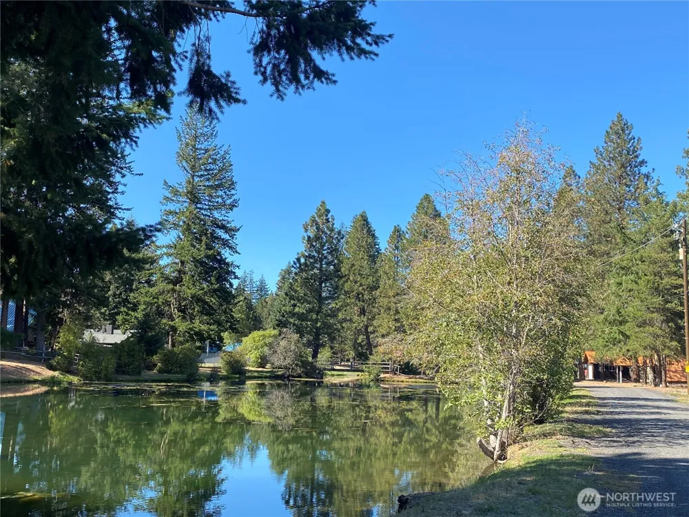 230 Pine Cliffs Drive Naches, WA 98937