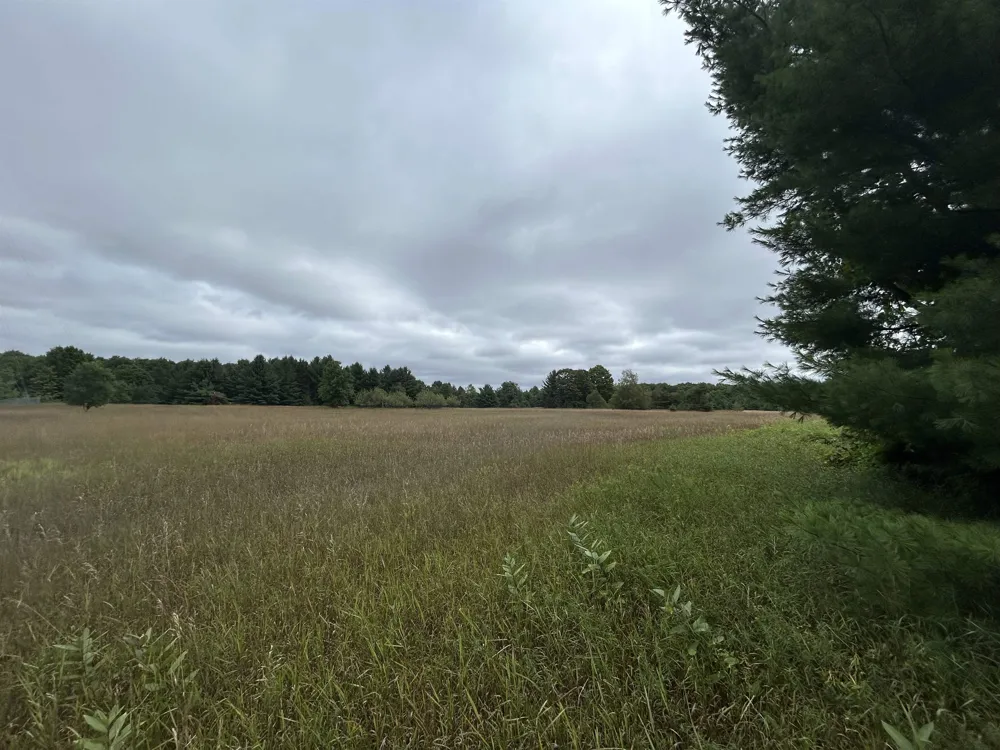 4791 Shinn Drive Chestonia Township, MI 49659