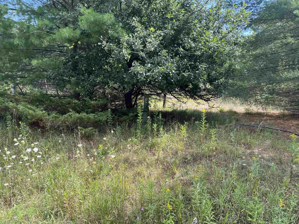 Cedar Lake Road Greenbush Township, MI 48738