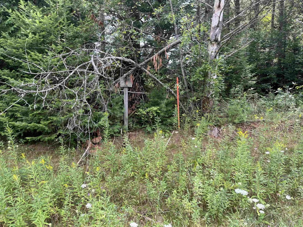 Cedar Lake Road Greenbush Township, MI 48738