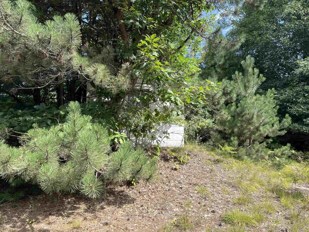 Cedar Lake Road Greenbush Township, MI 48738