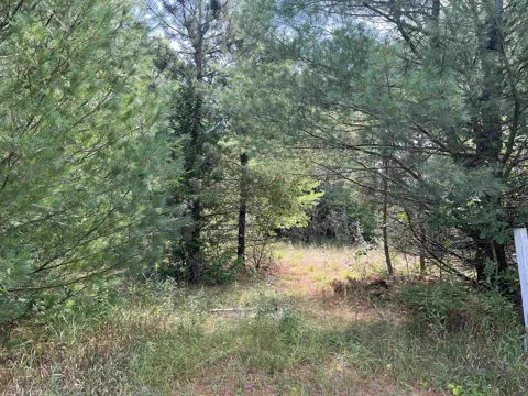 Cedar Lake Road