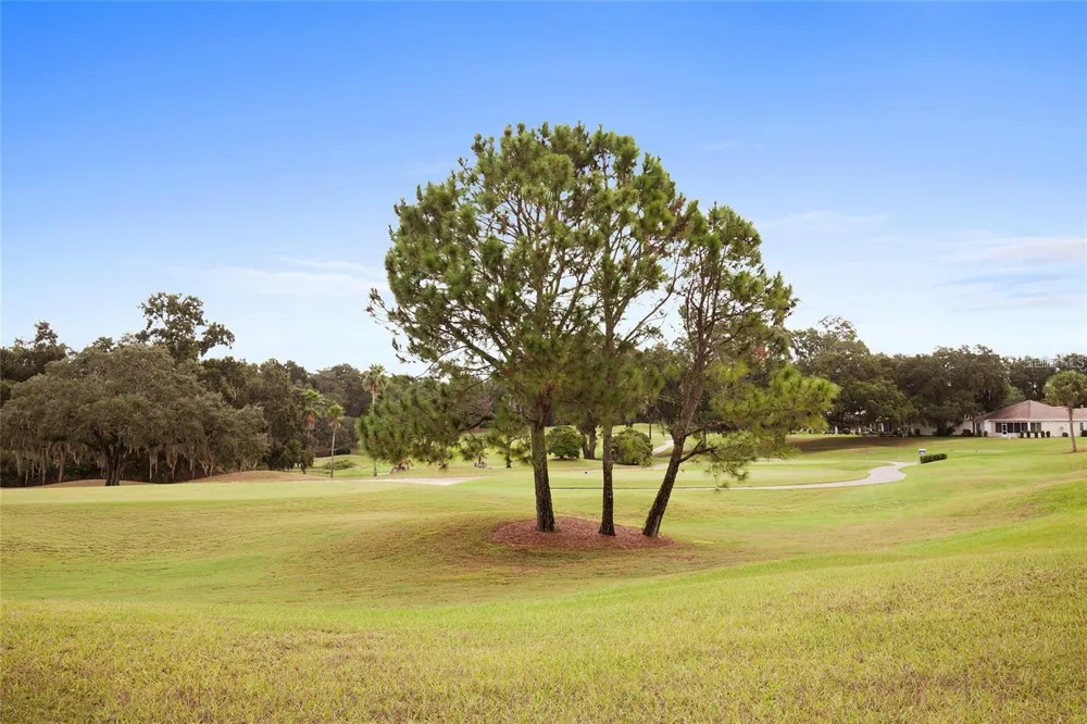 13806 SE 93RD AVENUE Summerfield, FL 34491