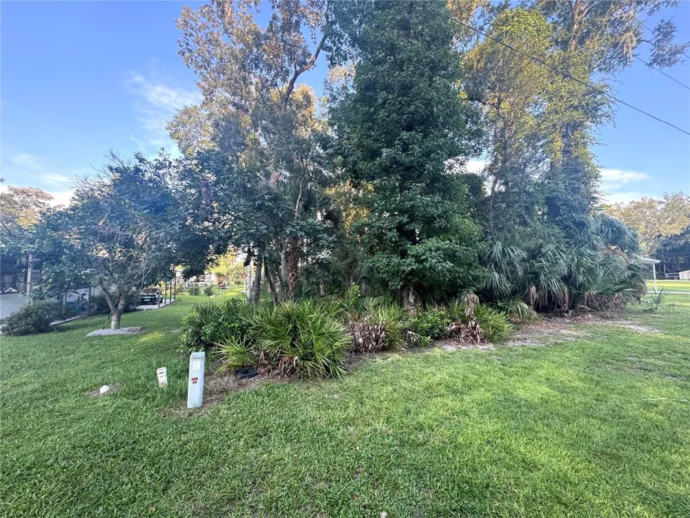 NW 114TH COURT Chiefland, FL 32626