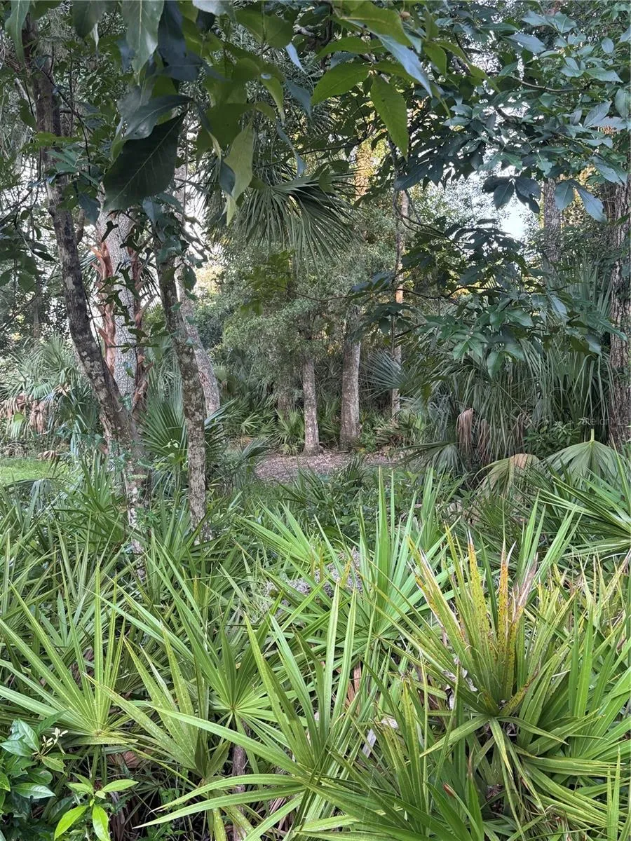 NW 114TH COURT Chiefland, FL 32626
