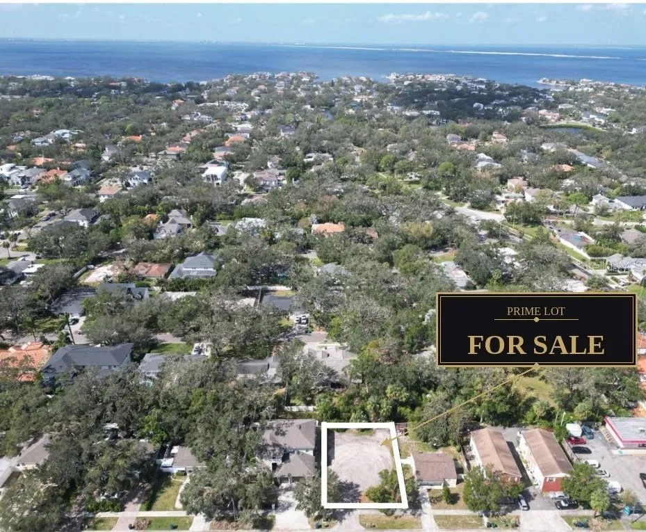 3013 S MANHATTAN AVENUE Tampa, FL 33629