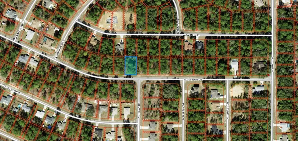 3357 W CUSHION DRIVE Citrus Springs, FL 34433
