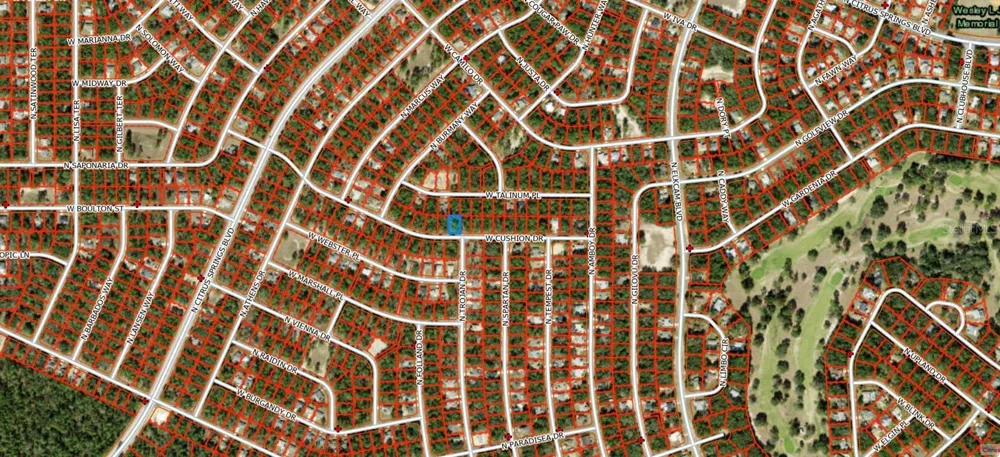 3357 W CUSHION DRIVE Citrus Springs, FL 34433