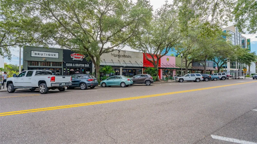 465 CENTRAL AVENUE #301 St Petersburg, FL 33701