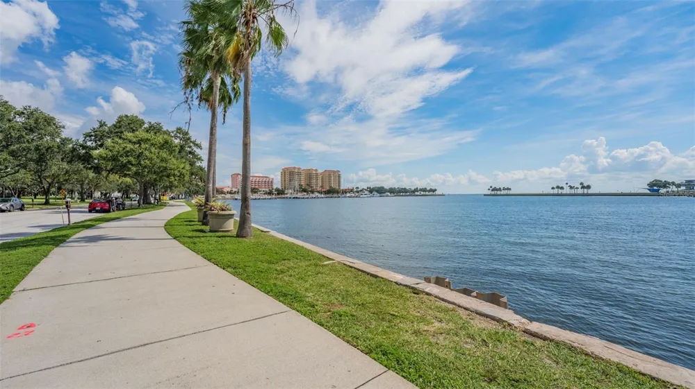 465 CENTRAL AVENUE #301 St Petersburg, FL 33701