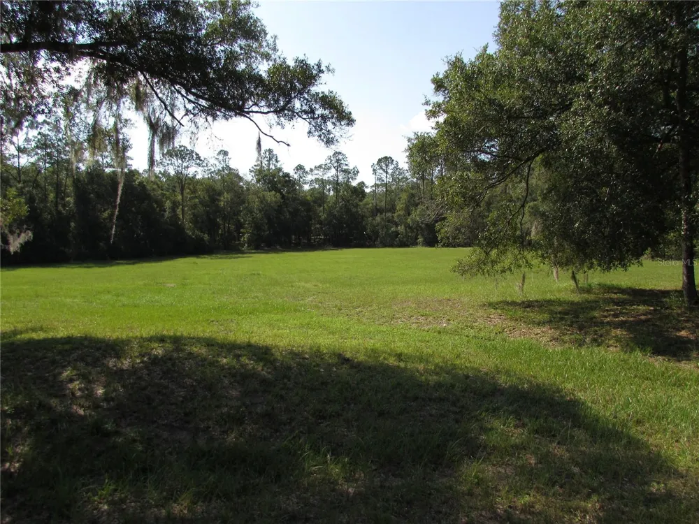 9890 SW 203RD CIRCLE Dunnellon, FL 34431